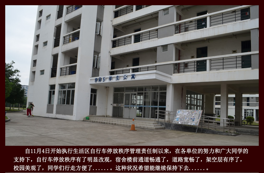 旗山校区自行车停放秩序整治阶段性成果