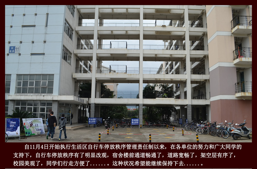 旗山校区自行车停放秩序整治阶段性成果