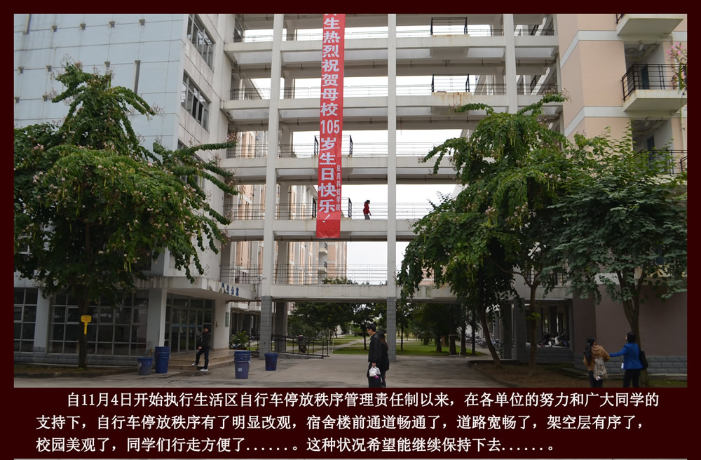 旗山校区自行车停放秩序整治阶段性成果