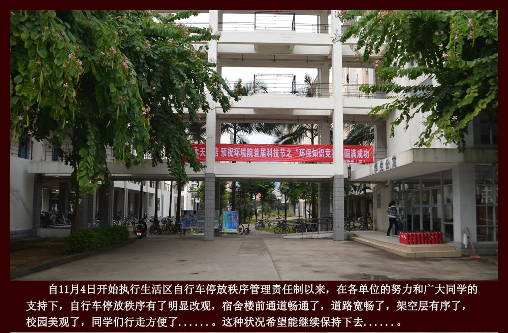 旗山校区自行车停放秩序整治阶段性成果