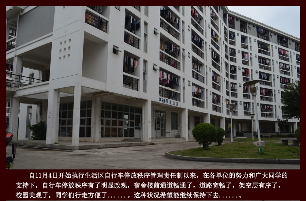 旗山校区自行车停放秩序整治阶段性成果