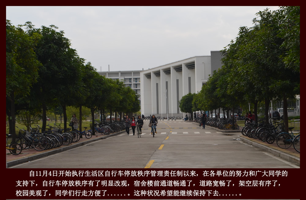 旗山校区自行车停放秩序整治阶段性成果